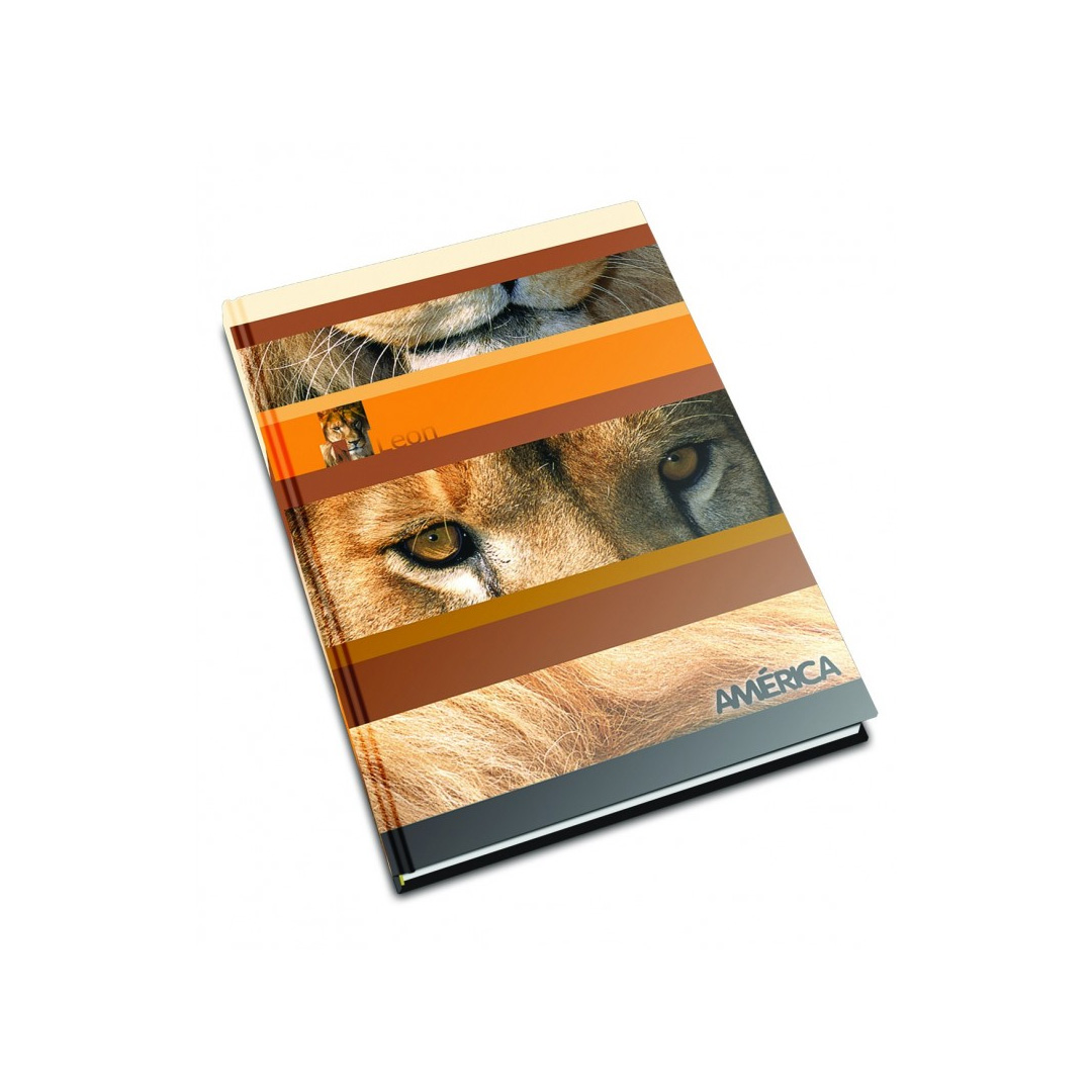  CUADERNO AMERICA 16X21 TAPA CARTON  FANTASIA 42H RAYADO