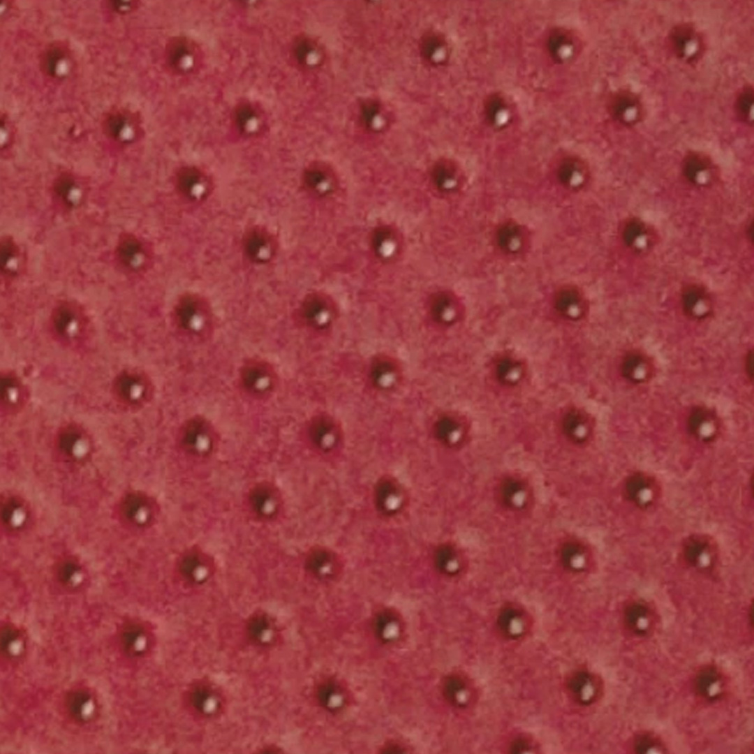  GOMA EVA CALADA ASB PUNTOS 40X60 X10  ROJO