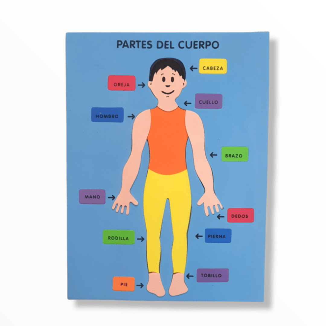  JUEGO PROD LINE CUERPO HUMANO PARTES  28X44