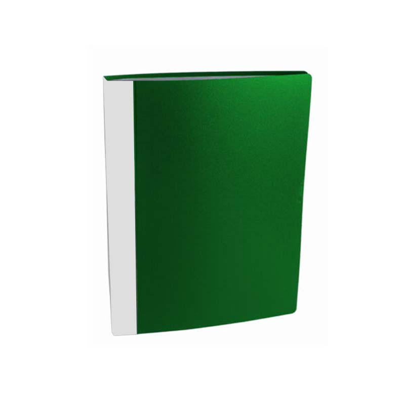  CARPETA CON FOLIOS 10 AVIOS A4 VERDE