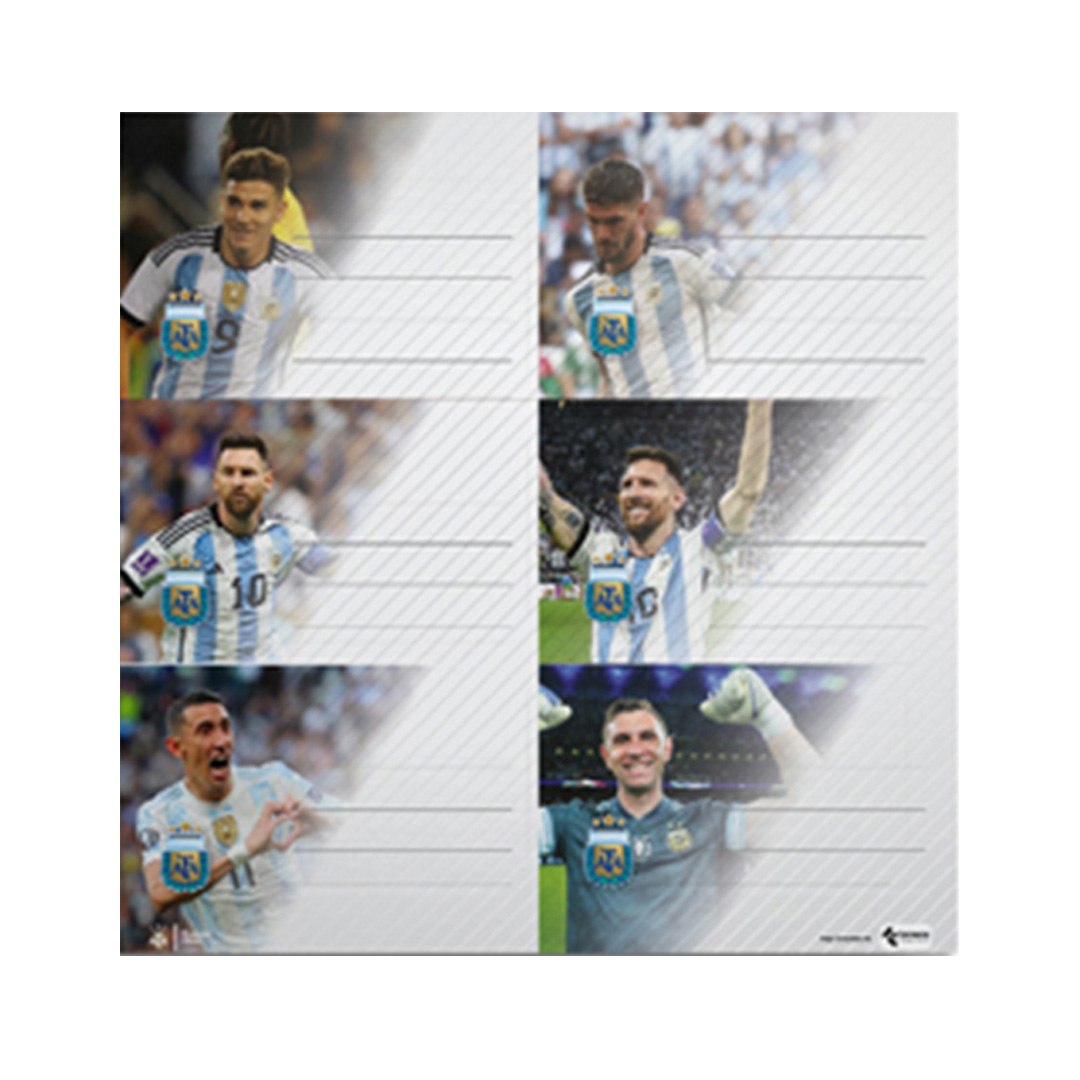  ETIQUETA MOOVING AFA SELECCIÓN X12
